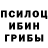 Галлюциногенные грибы Cubensis Yasmina Ibatova